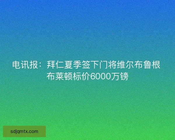 电讯报：拜仁夏季签下门将维尔布鲁根 布莱顿标价6000万镑
