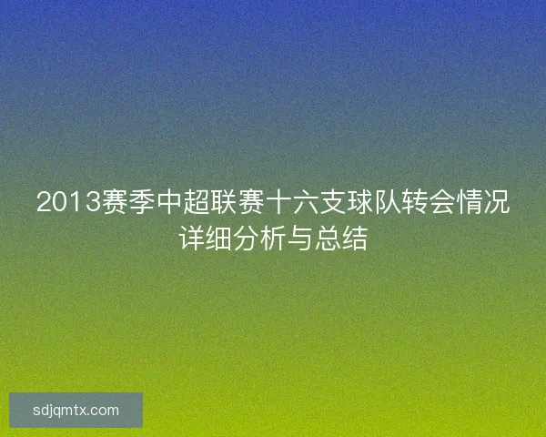 2013赛季中超联赛十六支球队转会情况详细分析与总结 2013赛季中超联赛十六支球队转会情况详细分析与总结