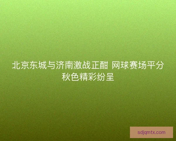 北京东城与济南激战正酣 网球赛场平分秋色精彩纷呈