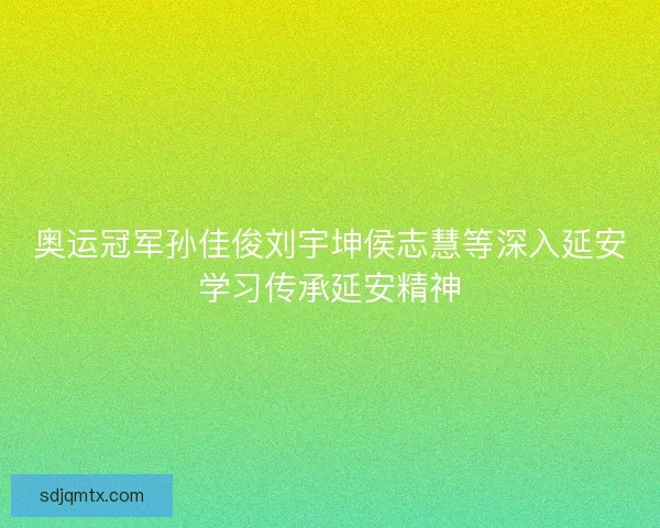 奥运冠军孙佳俊刘宇坤侯志慧等深入延安学习传承延安精神