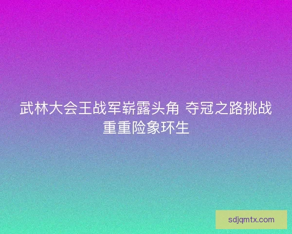 武林大会王战军崭露头角 夺冠之路挑战重重险象环生