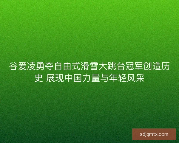 谷爱凌勇夺自由式滑雪大跳台冠军创造历史 展现中国力量与年轻风采